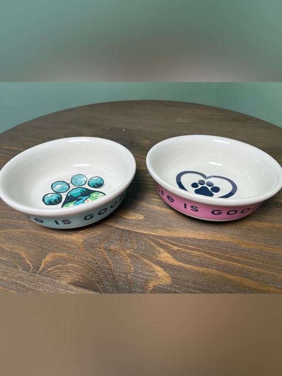 Life Is Good Other - Life Is Good Ceramic Pet Food Water Bowl Set 6” Cat Dog Outdoors Gorpcore